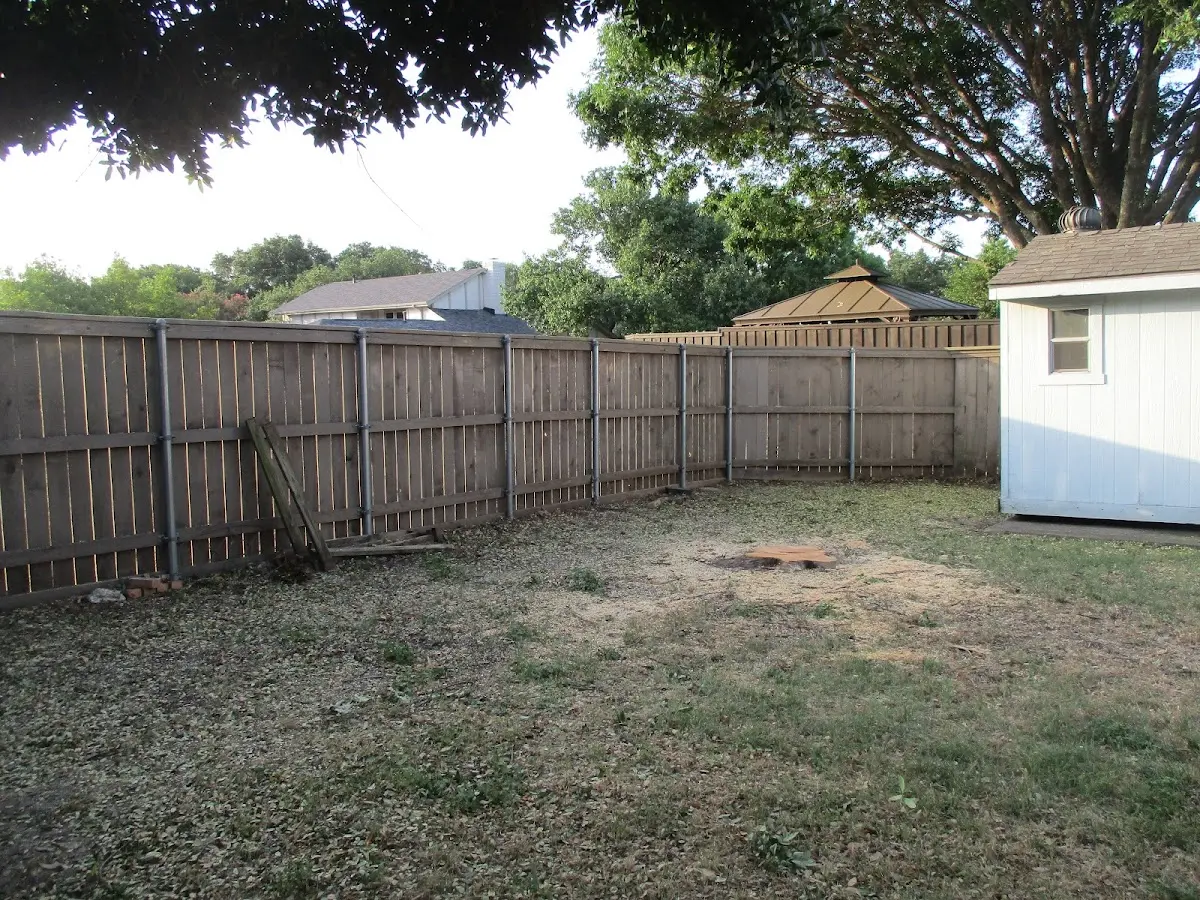 Cleared yard after professional tree removal in Hinsdale