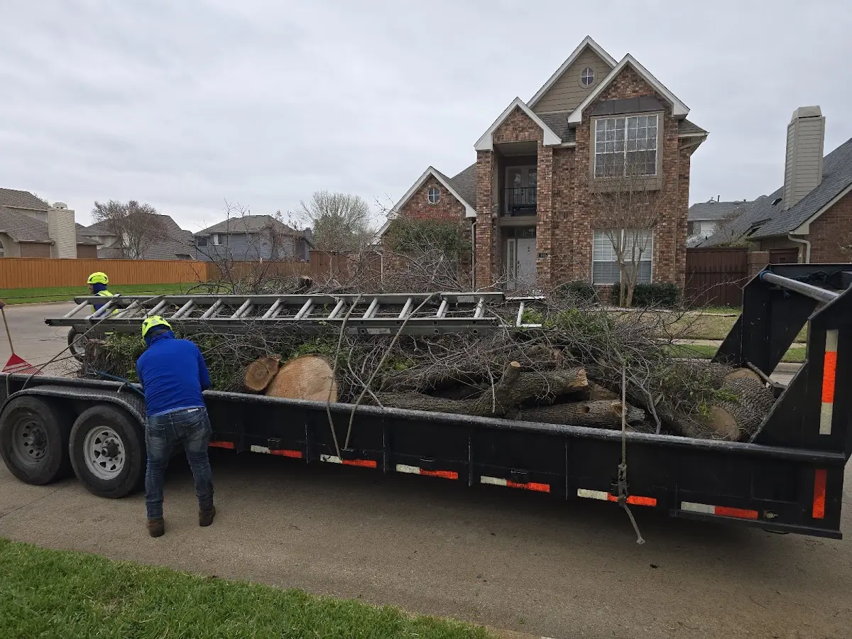 Expert Crown Reduction with proper safety equipment in Hinsdale